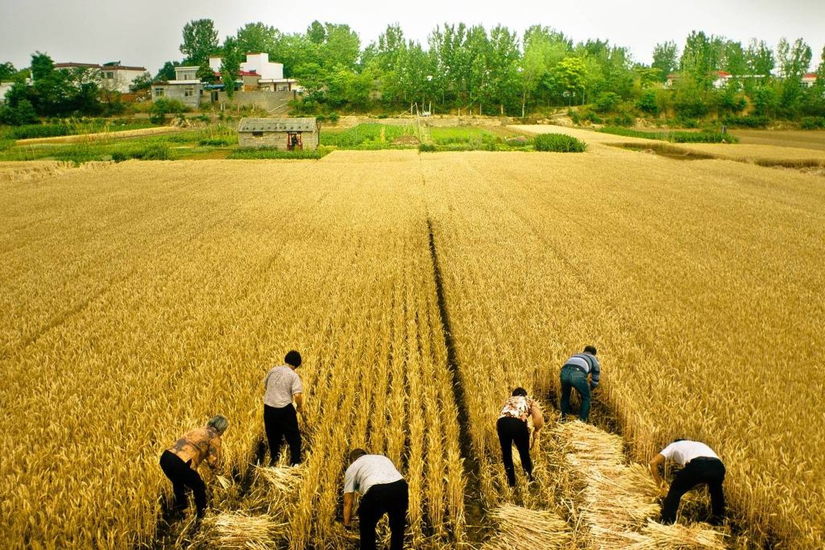 44ª Mostra Internacional de Cinema terá cerca de 150 filmes em streaming com ingresso a R$6 | Cinema
