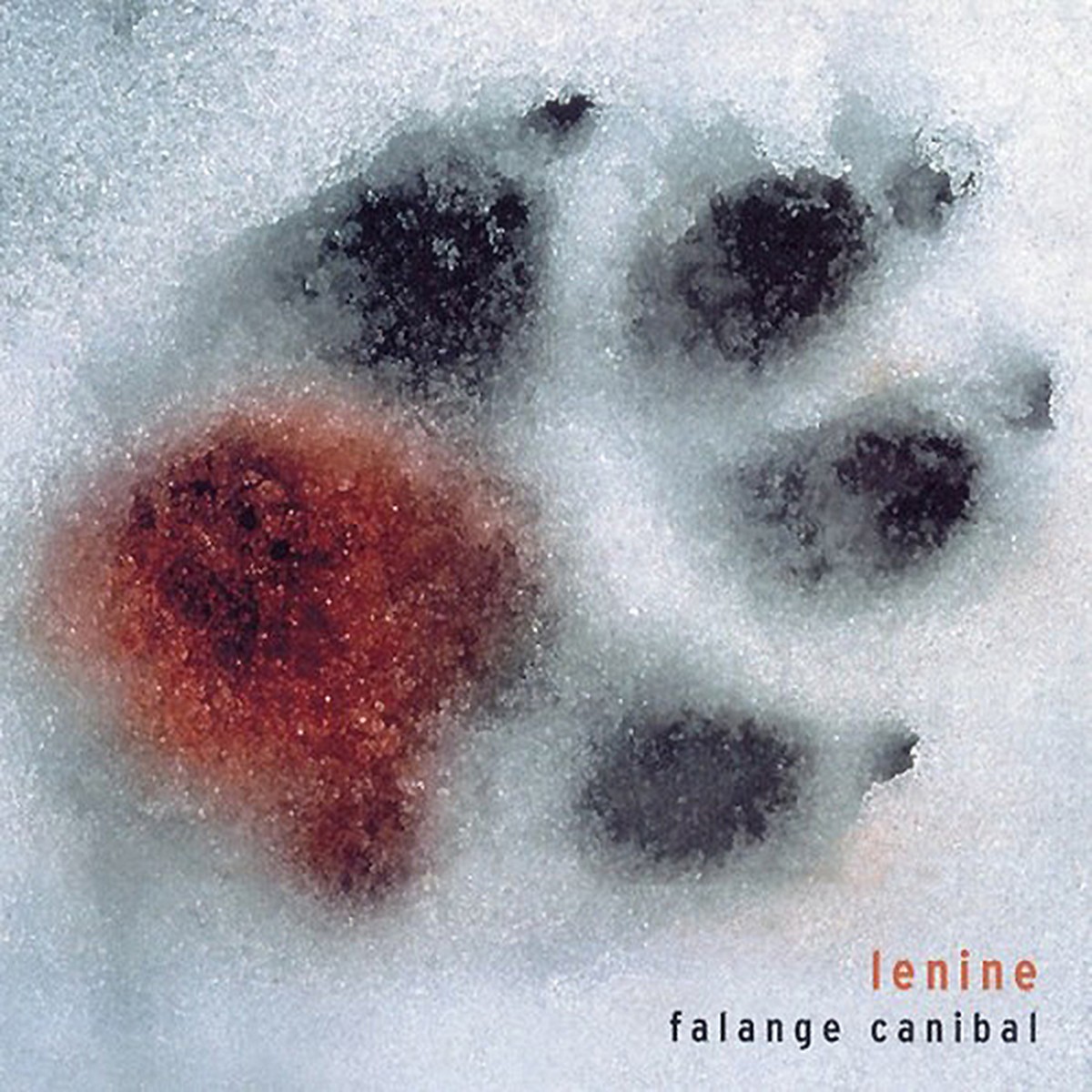 Discos para descobrir em casa – 'Falange canibal', Lenine, 2002 | Blog do Mauro Ferreira