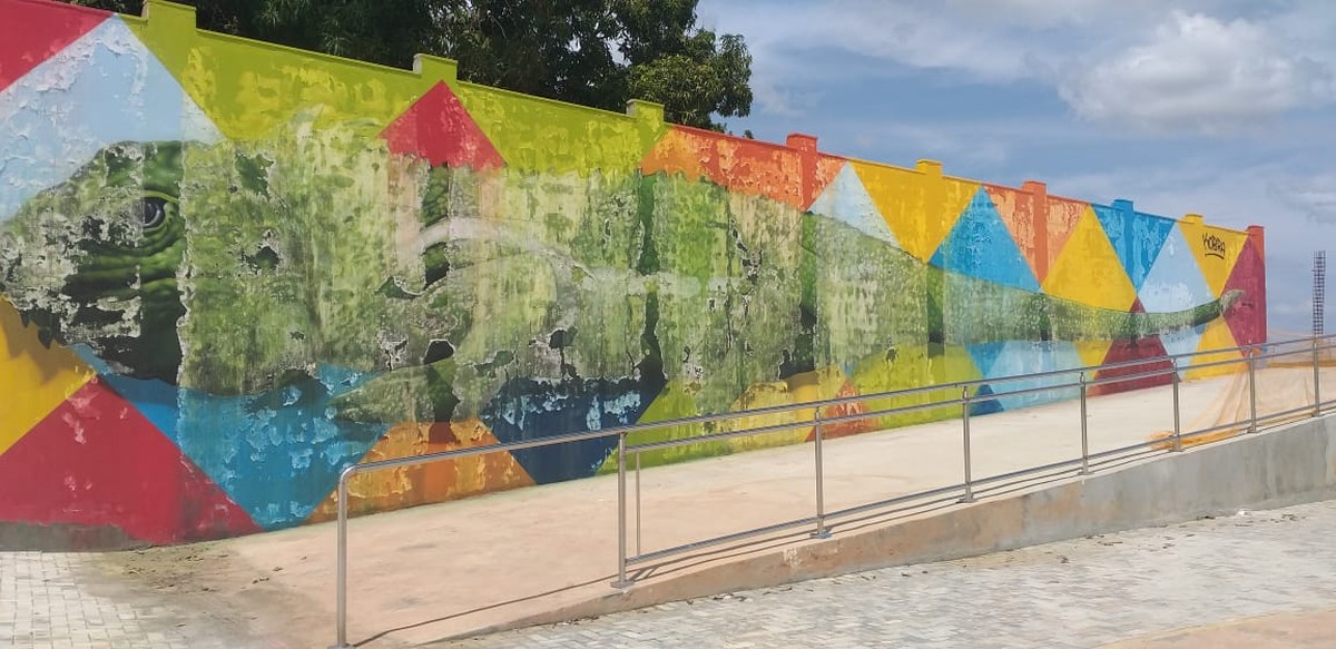 Kobra diz que é raro pintura derreter; equipe dele irá restaurar obra de R$ 400 mil em Boa Vista | Roraima