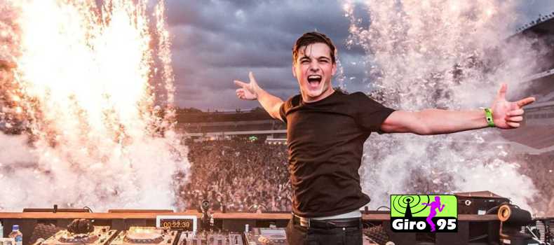 Martin Garrix é picado por vespa em show